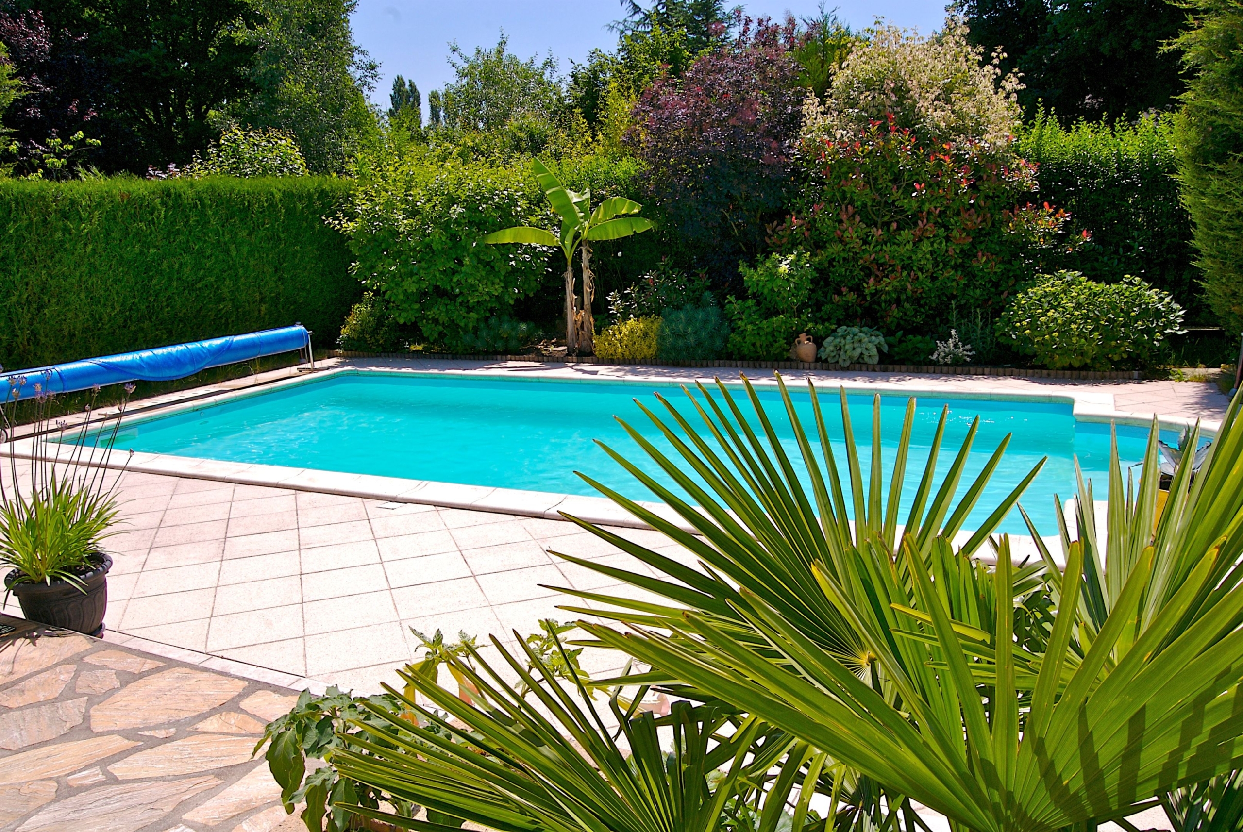 Gartenpool mit aufgerollter Poolabdeckung und gepflegter Terrasse in grüner Umgebung