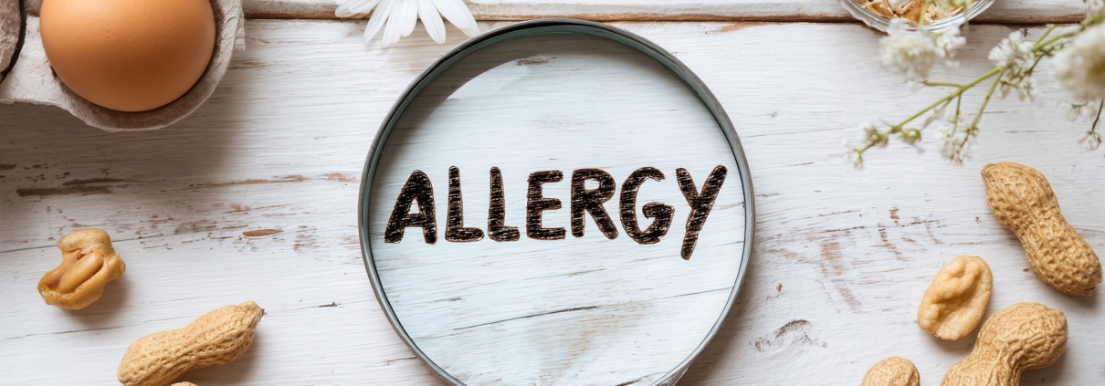 Allergie Symbol mit Nüssen, Ei und Lupe | Milchunverträglichkeit